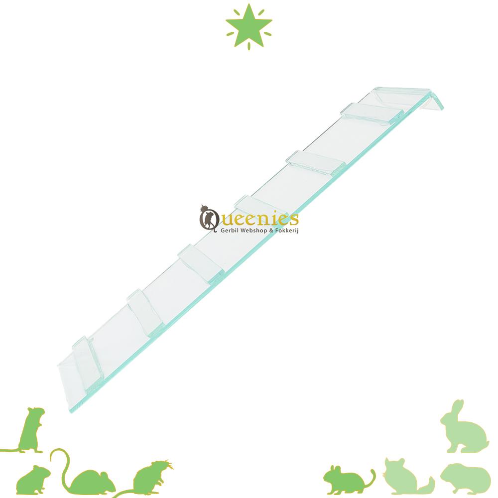 Glazen trap 40 cm voor Kleine Knaagdieren