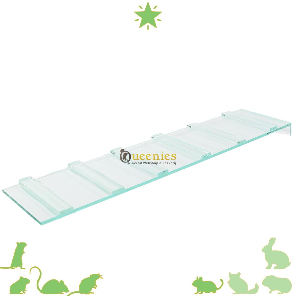 Glazen trap 40 cm voor Gerbils