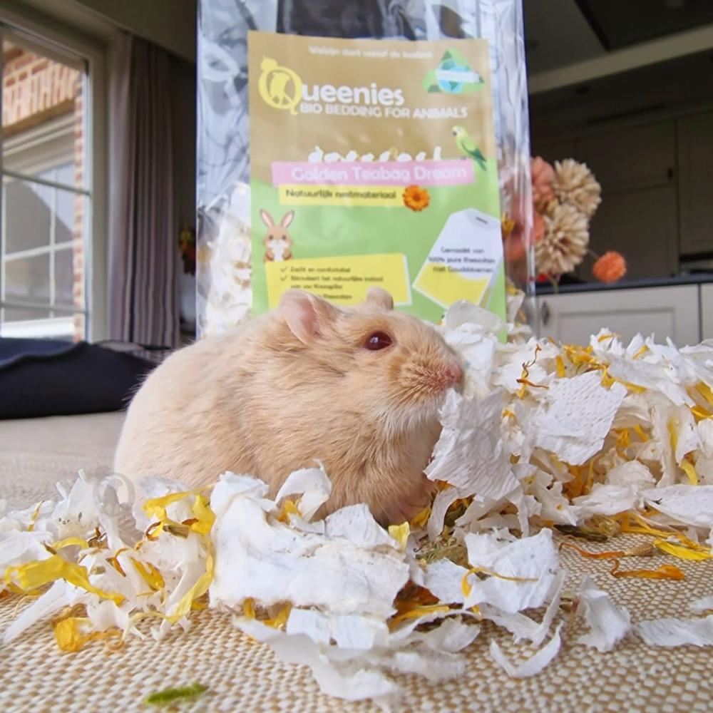 Golden Teabag Dream 3 liter