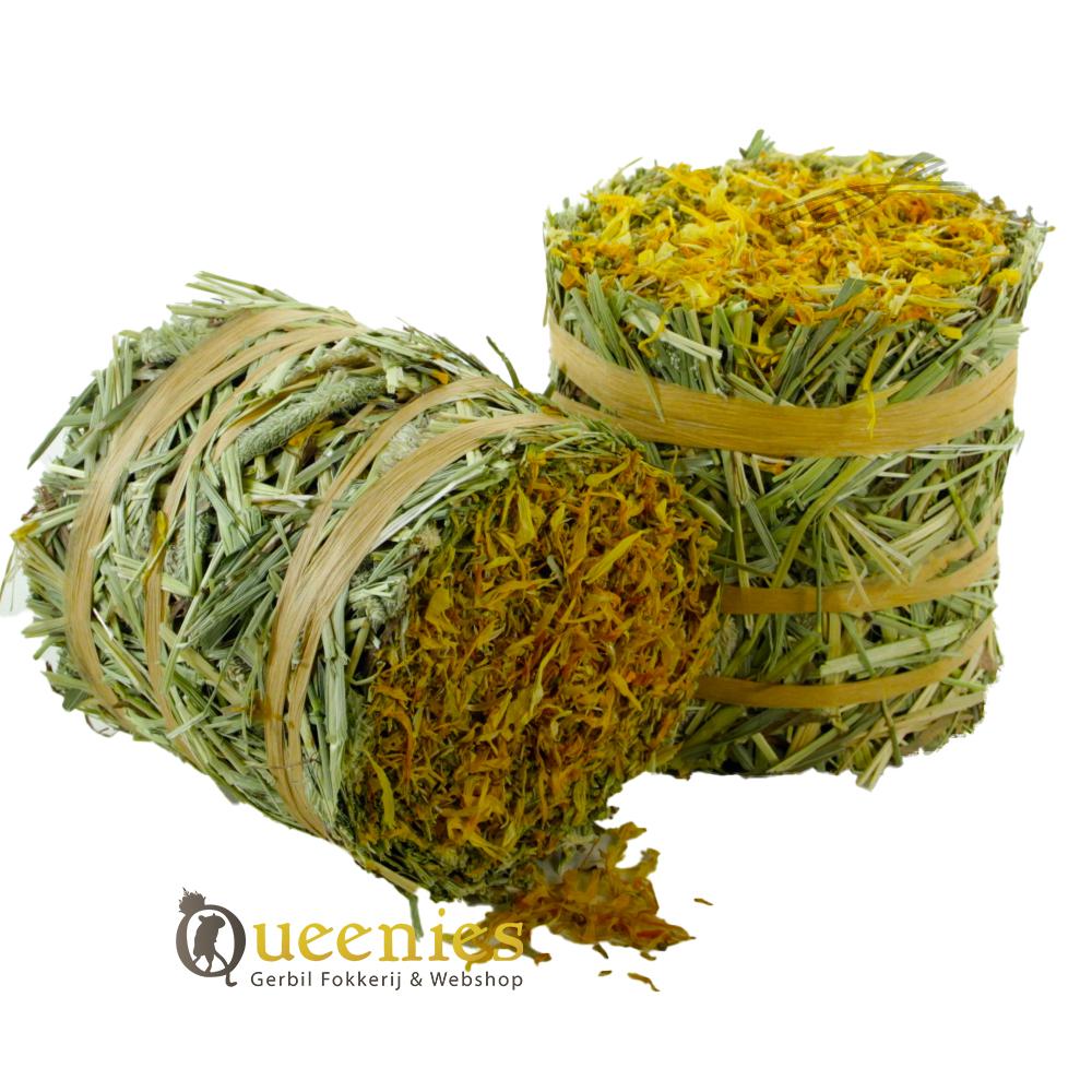 Timothy Hooi rol met Goudsbloem smaak voor Syrische Goudhamsters