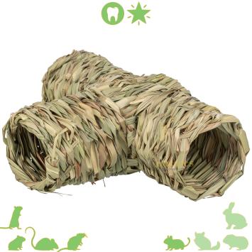 Knaagdier Tunnel T-model