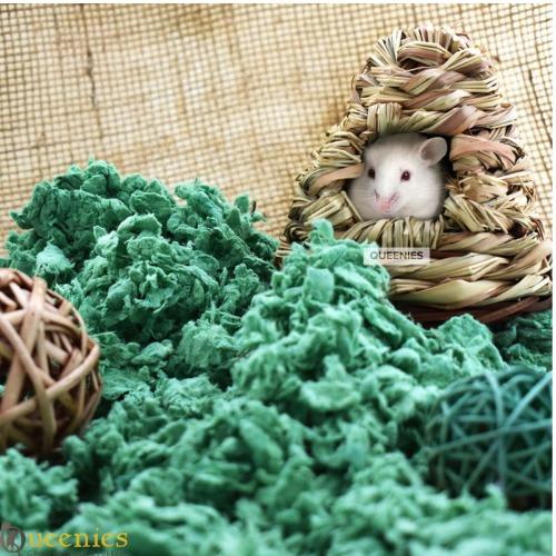 Chipsi Carefresh Forest Green voor muizen tegen stank overlast