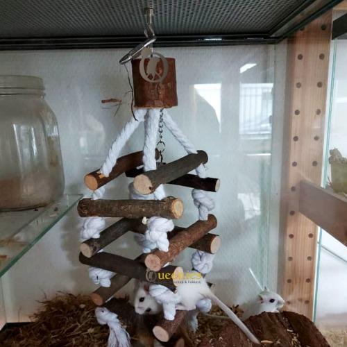 Magneet Haken voor knaagdierkooien  set per 5 stuks