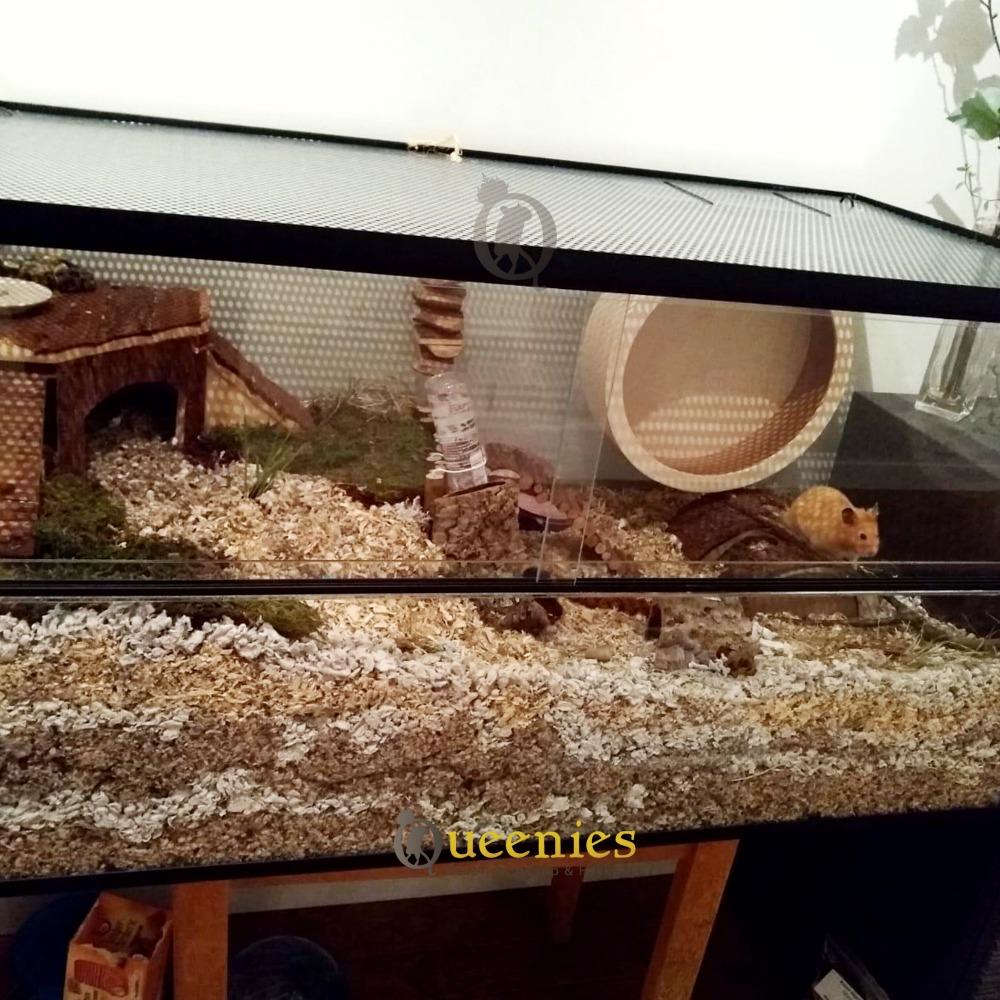 100x50x60 hamsterterrarium met schuifruiten en goede ventilatie