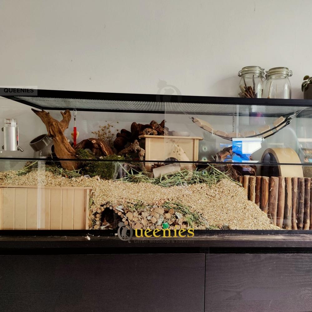 150x50x50 knaagdierenkooi met schuifruiten zonder plateaus