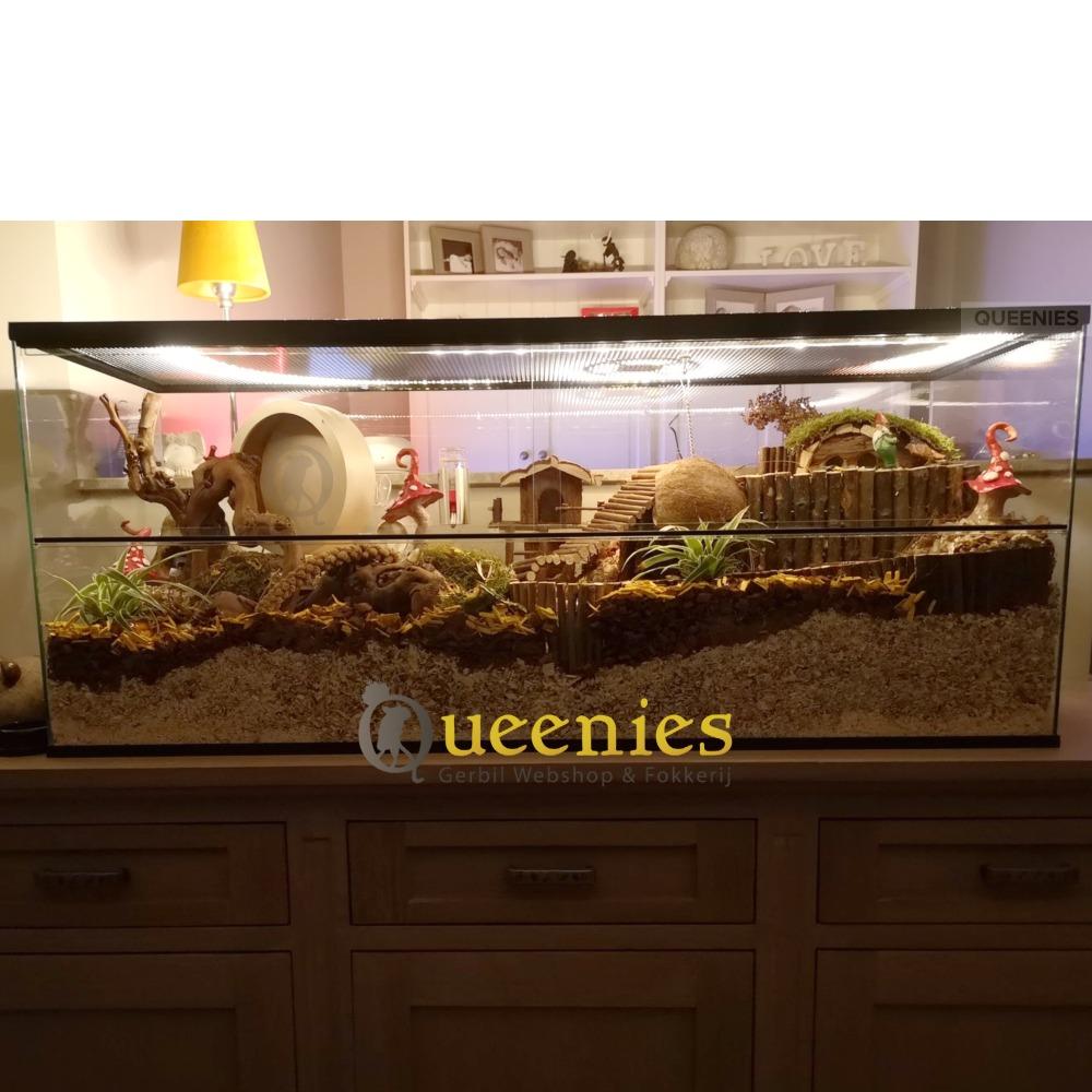 120x50x50 hamsterkooi van glas met schuifruiten