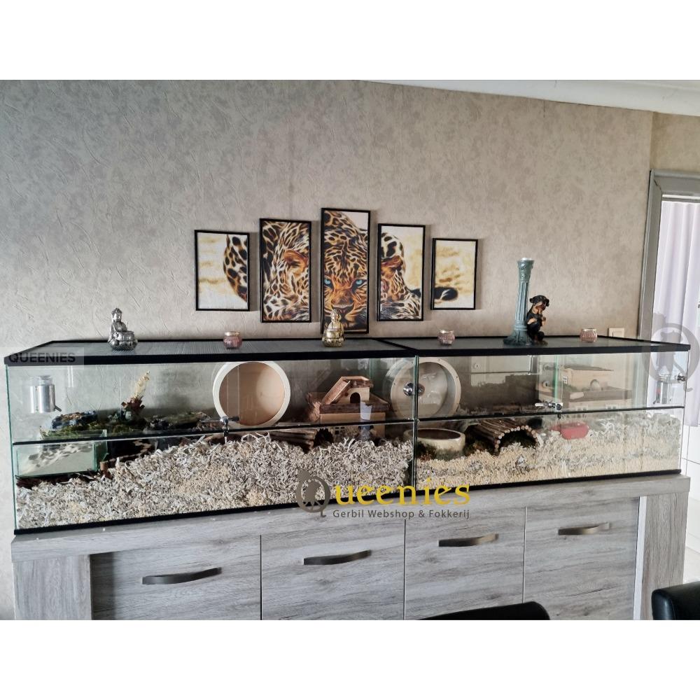 120x50x50 syrische hamsterkooi van glas met schuifruiten