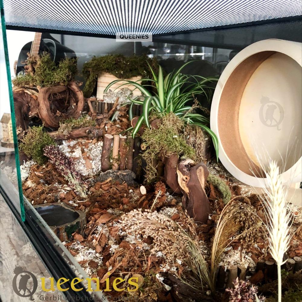 120x60x60 hamsterscaping kooi voor goudhamster