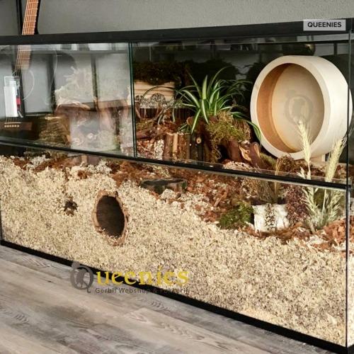 Hamsterscaping loopwiel voor Dwerghamster