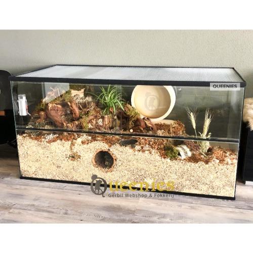 Hamsterscaping loopwiel voor goudhamster