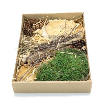 Boosterbox voor hamsterscaping en gerbilscaping