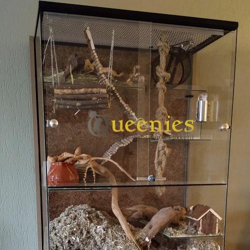 Handgrepen voor glazen Gerbilarium