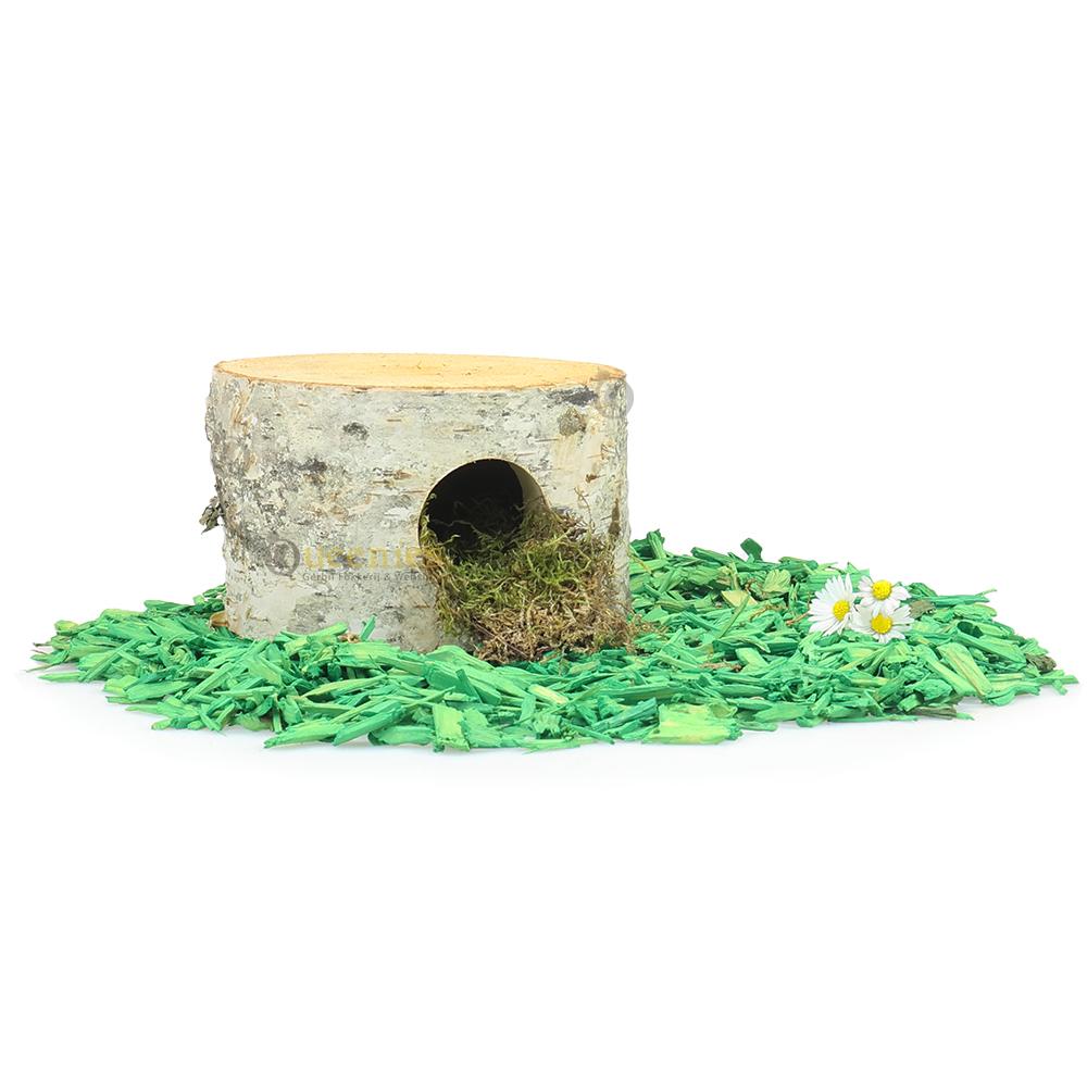 Berkengrot met Colorwood omgeving