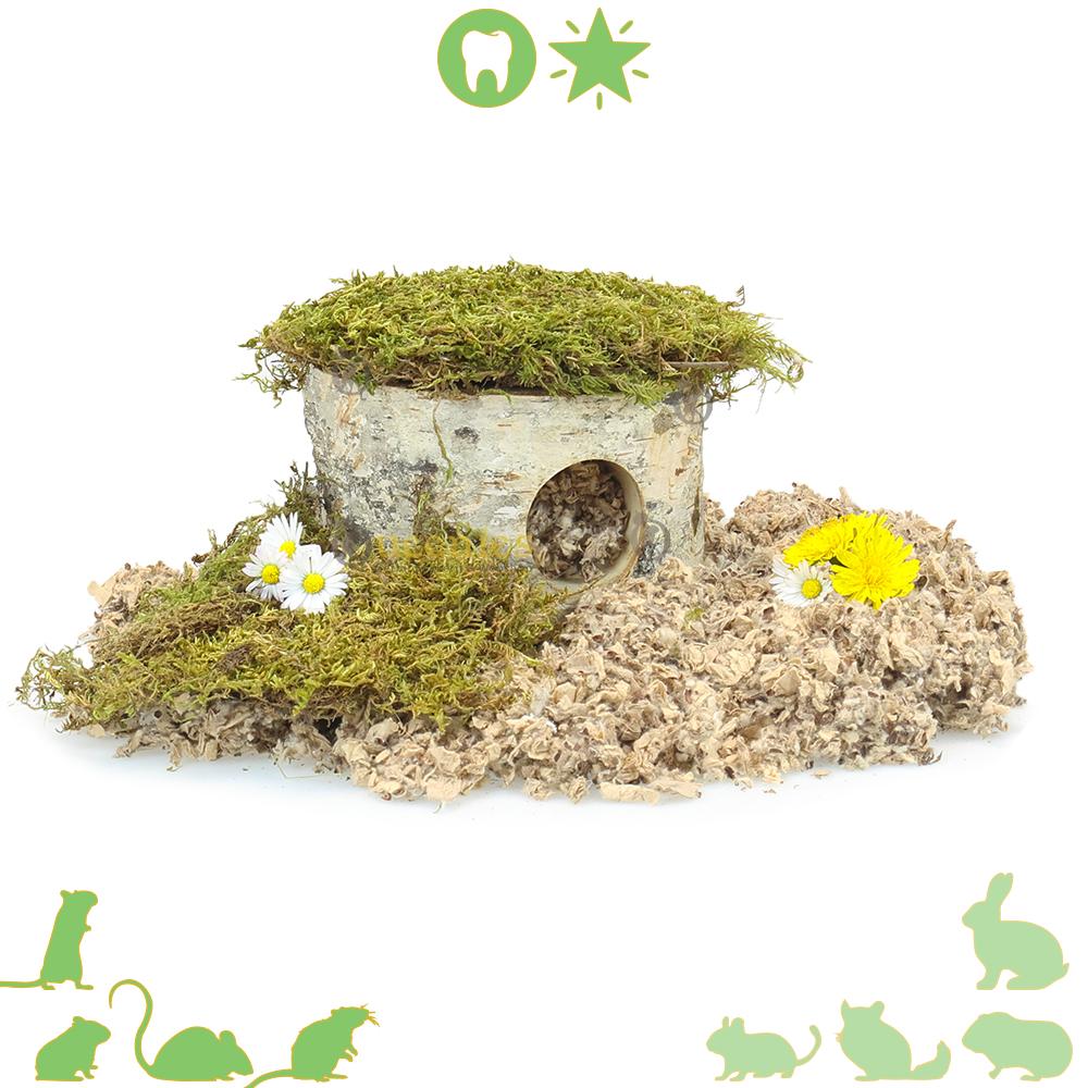 Hamsterhuis van berkengrot