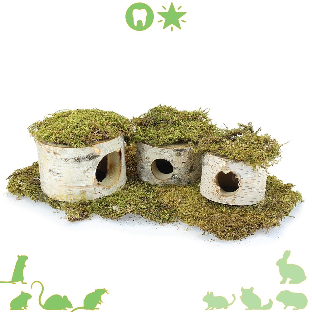 Berkengrot – Natuurlijke verstopplek voor Gerbils en Hamsters