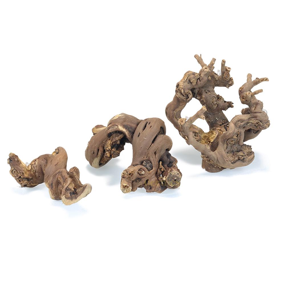 Veschillende soorten druiventakken of wijnranken voor knaagdieren