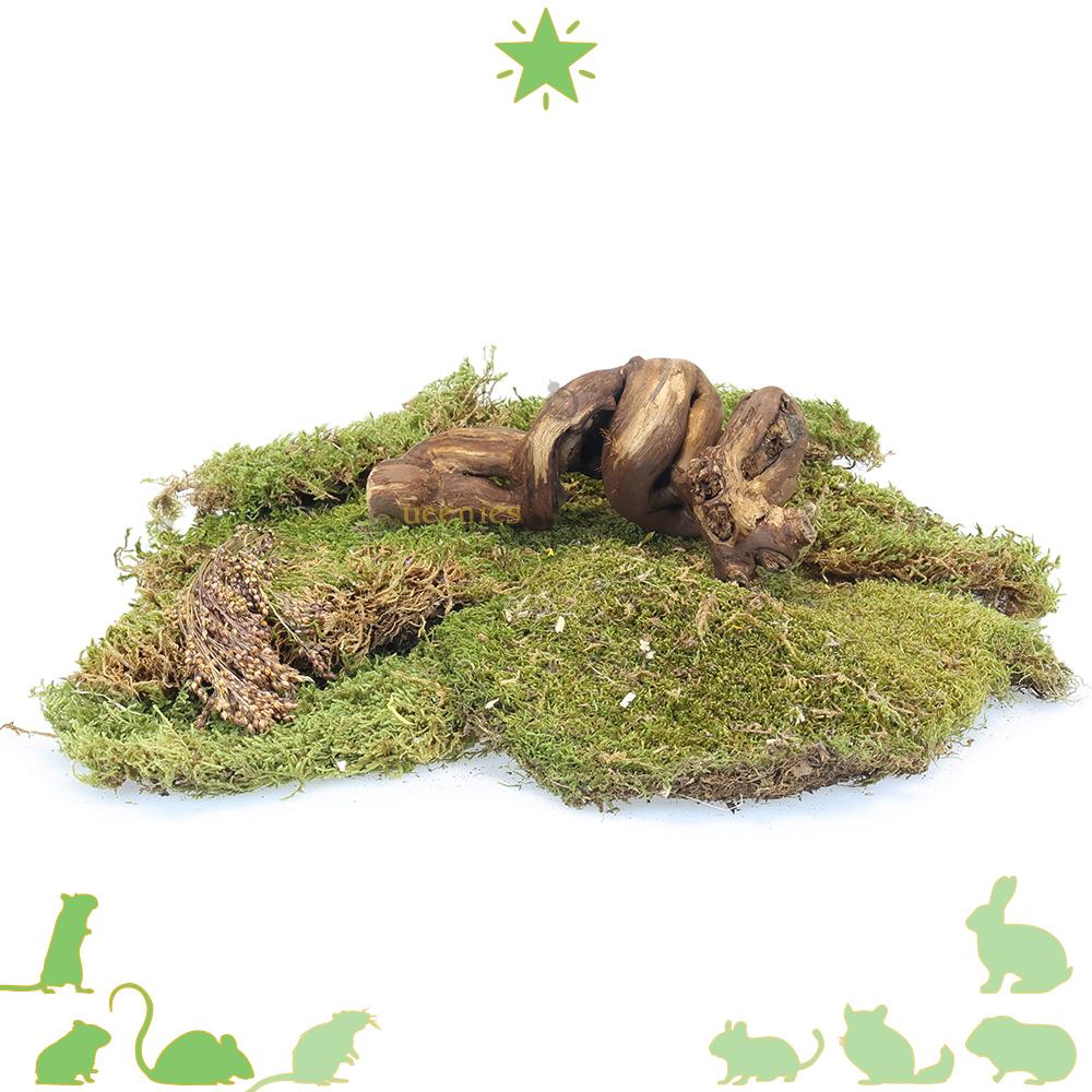 Hamsterscapings producten en artikelen