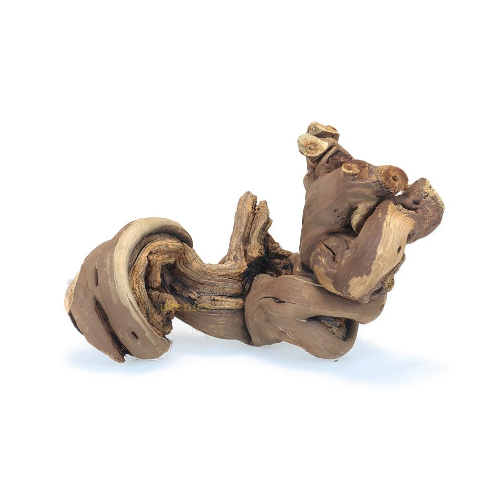 Hamster hout wat veilig is voor Knaagdier