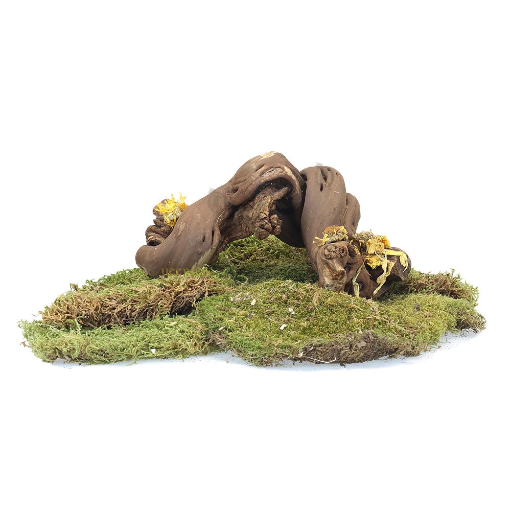 Natuurlijke uitstraling knaagdierkooi met decoratieve items