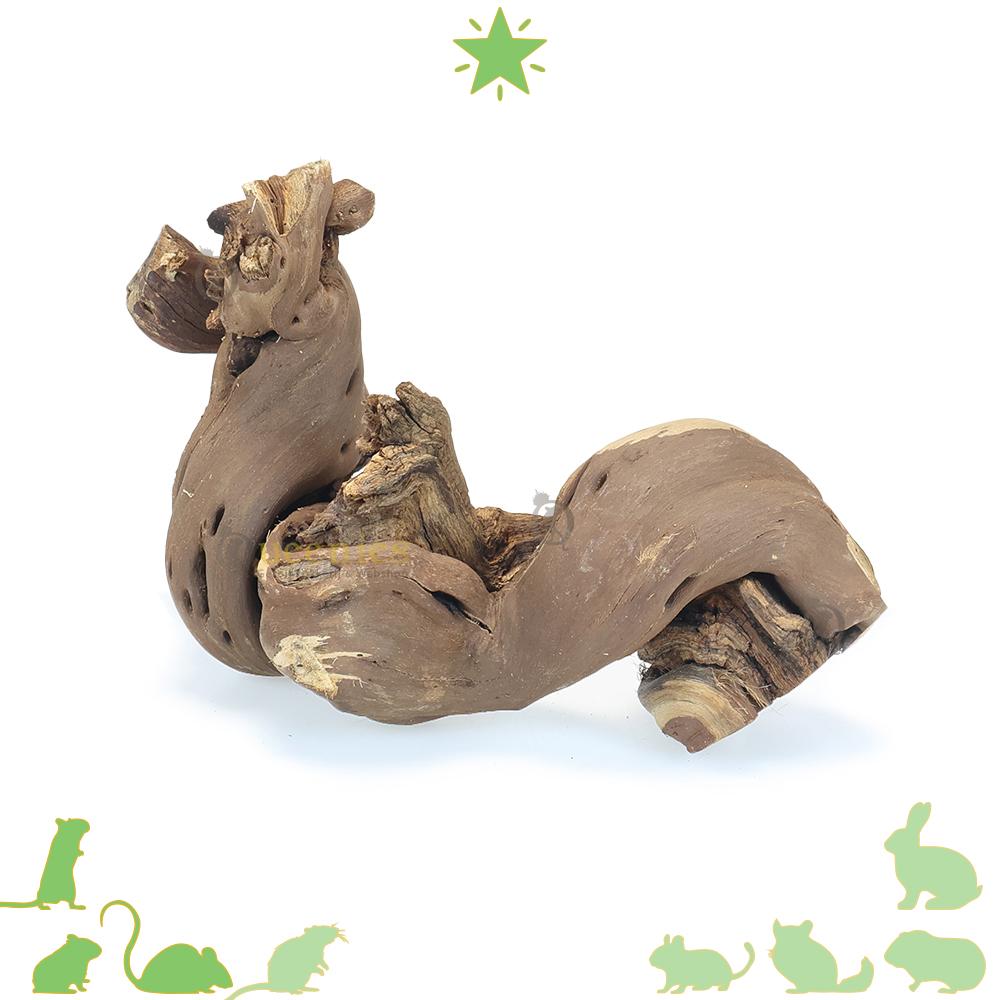 Wijnranken en druiventakken voor knaagdieren