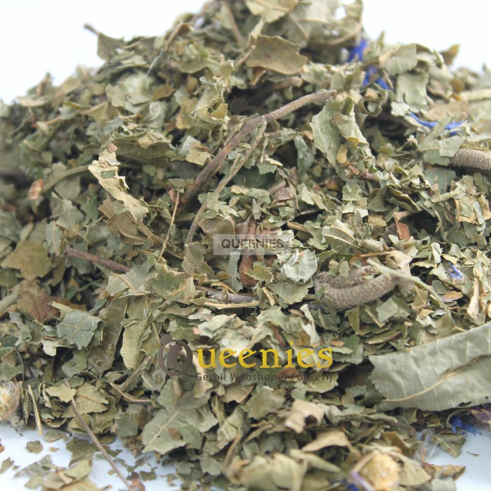 Hazelnoot bladeren voor Goudhamsters