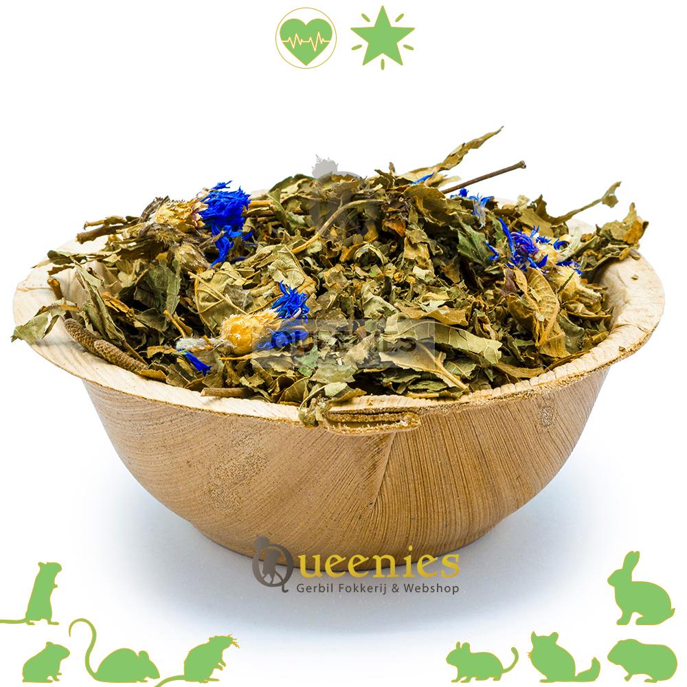 Hazelnoot bladeren voor Knaagdieren en Konijnen