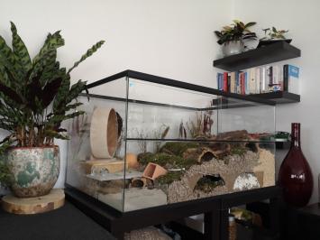 100x60x60 Tweedehands Hamster Terrarium met schuifruiten zonder plateaus