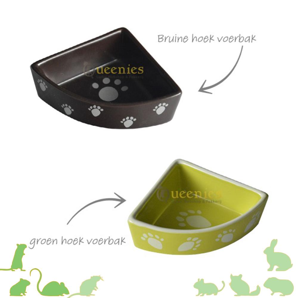 Knaagdier hoek voerbak voor kleine knaagdieren