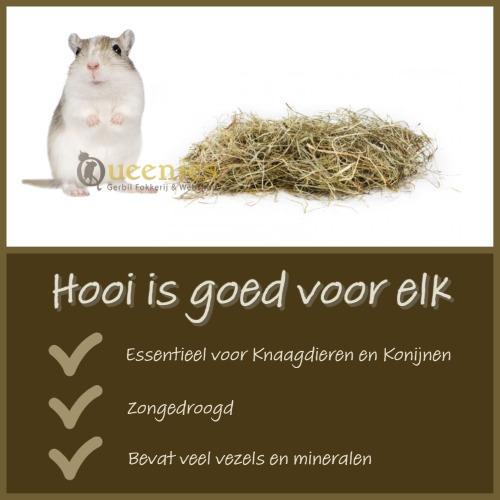 Knaagdierhooi meadow hay