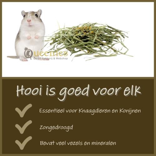 Hooi is goed voor elk