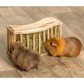 Houten Hondenhok 80 H X 116 B X 79cm D Huisdierenhuis Schuilplaats Bodemvrijheid Verwijderbare Weerbestendig
