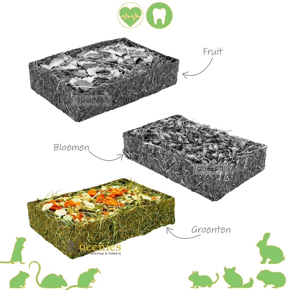 Hooi schaal met gedroogd Fruit voor Konijnen