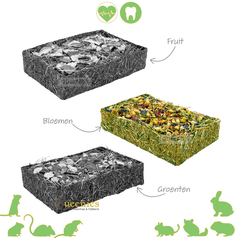 Hooi schaal met gedroogd Fruit voor Gerbils
