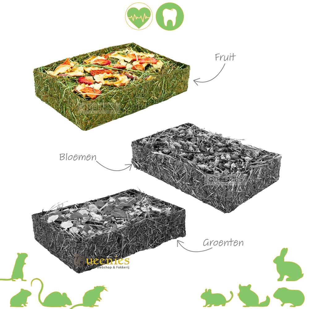 Hooi schaal met gedroogd Fruit voor Dwerghamster