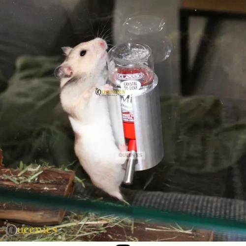 Knaagproef drinkfleshouder voor dwerghamster van aluminium