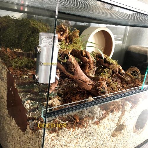 Magnetische drinkfleshouder knaagdieren