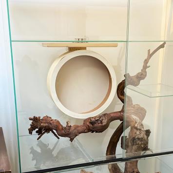 Magnetisch houten loopwiel zijaanzicht in terrarium