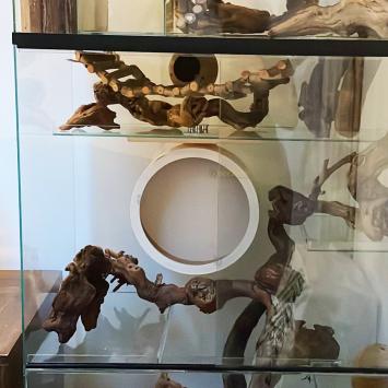 Houten hamster loopwiel 21 cm voor dwerghamster