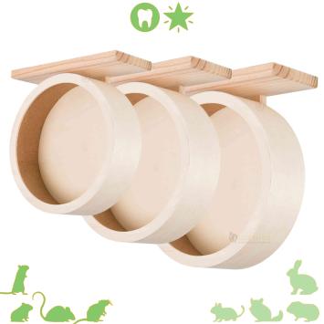 Loopwiel voor hamsterscaping natuurlijke inrichting