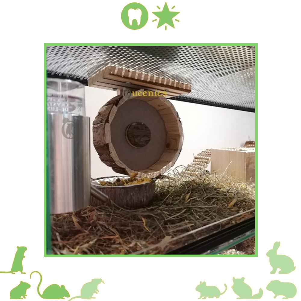 Houten Loopwiel met natuurlijke uitstraling voor Gerbils