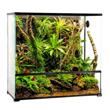 Kristalhelder terrarium voor boomkikkers en gekko's
