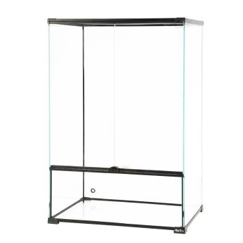 Bioactief paludarium voor regenwoudinrichting