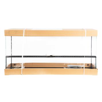 Bioactief terrarium voor regenwoudinrichting