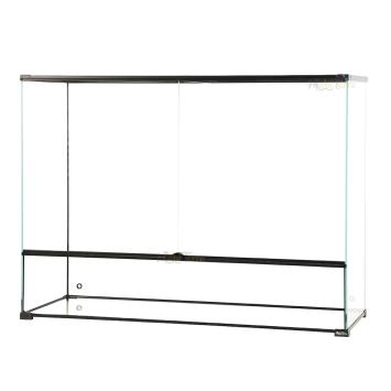 Bioactief terrarium voor regenwoudinrichting