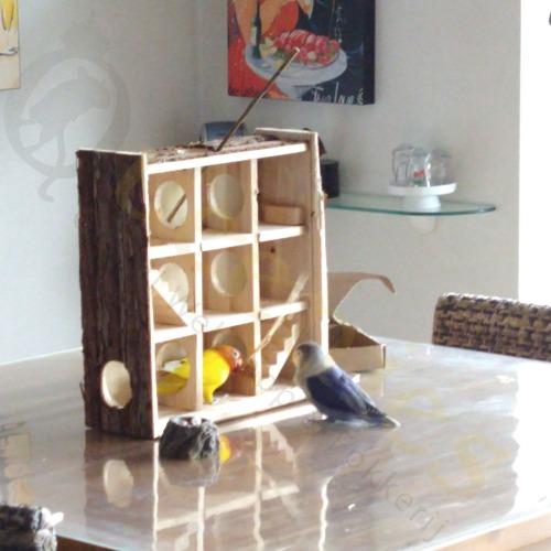 Doolhof Toren met inwendige trappen voor Gerbils