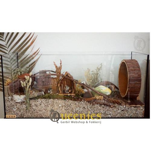 Hamsterscaping met palmblad