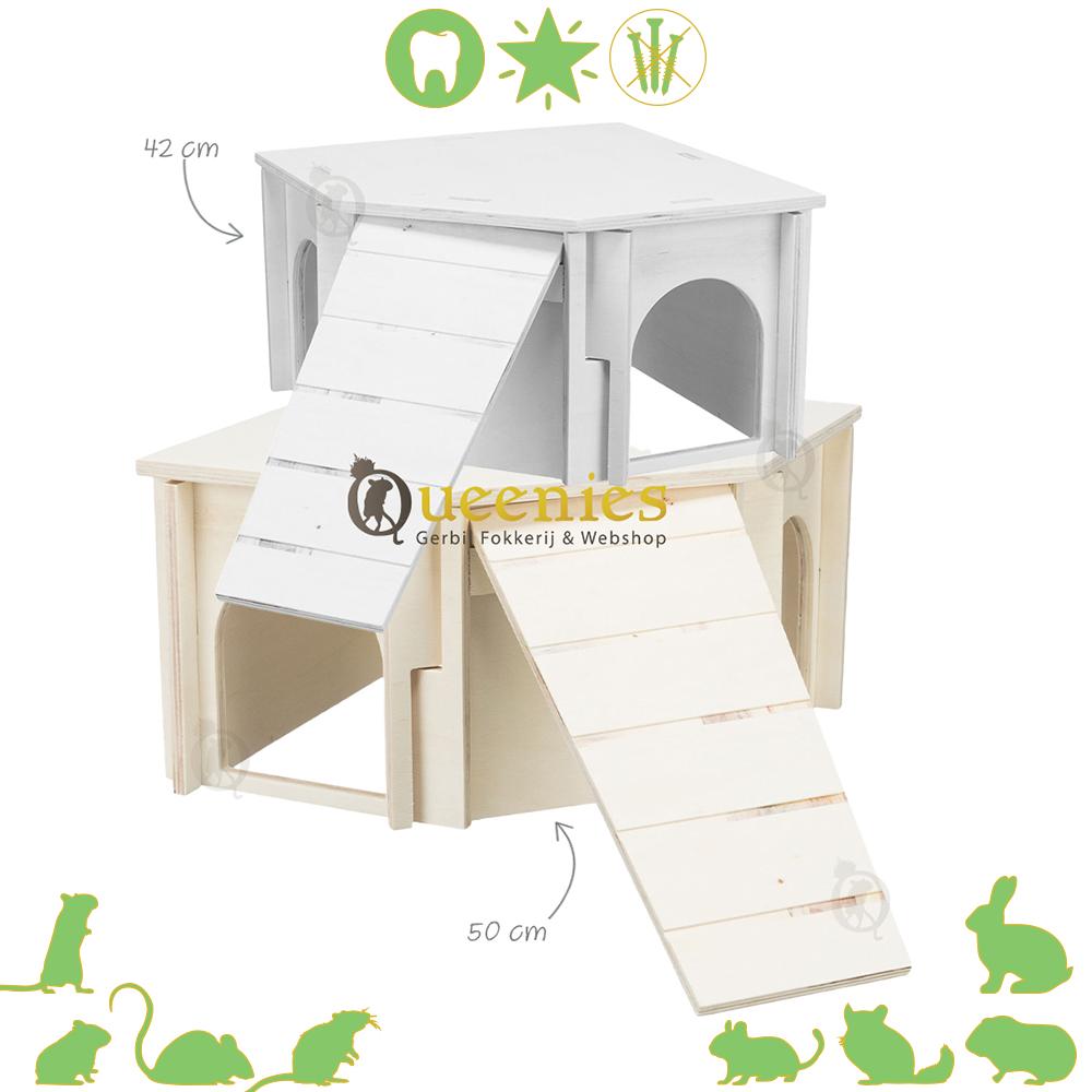 Syrische goudhamster hoekhuis