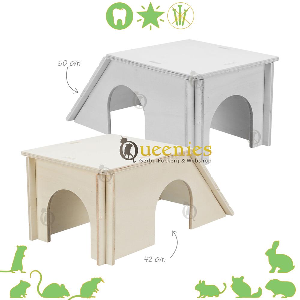 Spijkervrij Dwergkonijnen Huis Bent