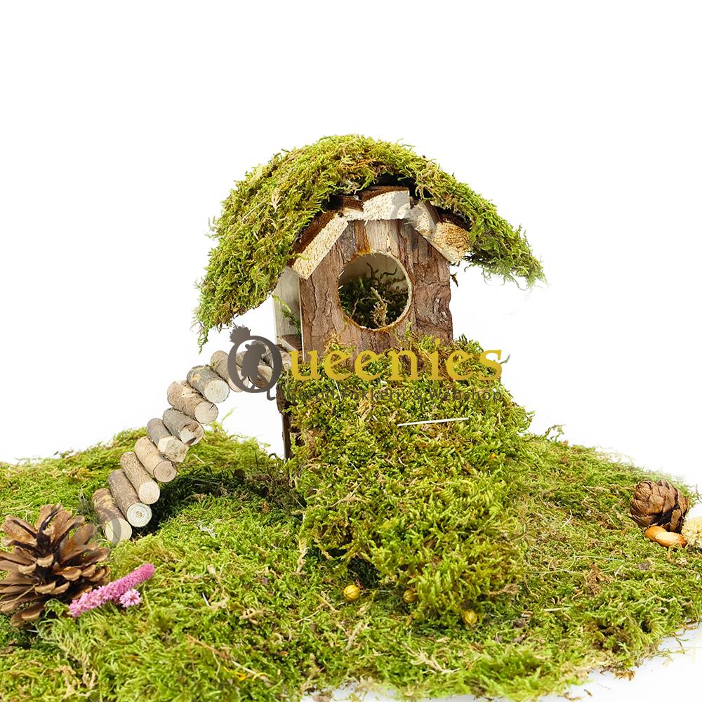 Muizenhuisjes kopen voor Hamsterscaping