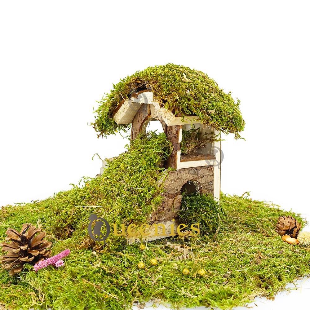 Roborovski Hamsterscape huisje Mats